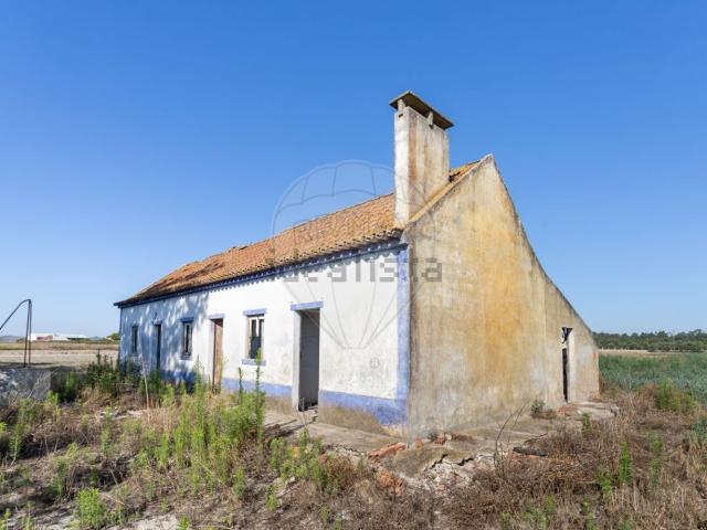 Quinta venda em Moita, Alhos Vedros