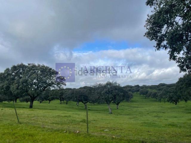 Casa Rural en venta en Aliseda, Extremadura