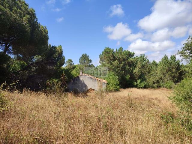 Quinta venda em Aljezur, Carrascalinho