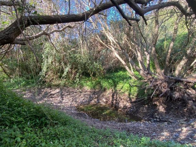 Quinta venda em Igreja Nova, Aljezur