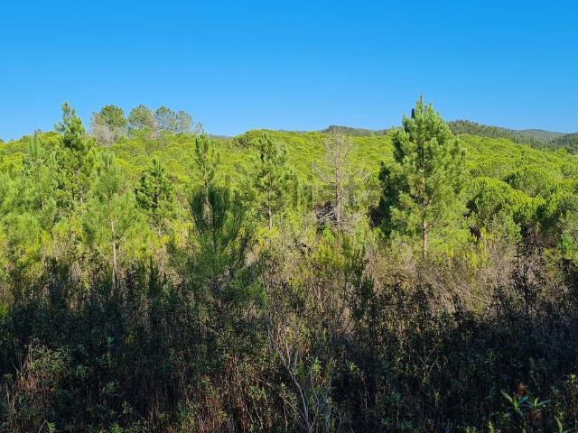 Quinta venda em Aljezur, Faro