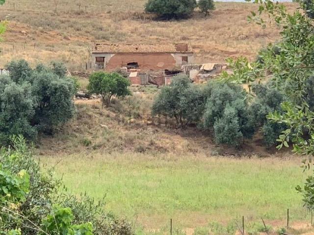 Quinta venda em Aljezur