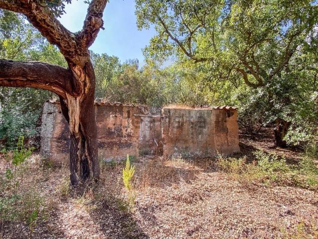 Quinta venda em Aljezur, Faro