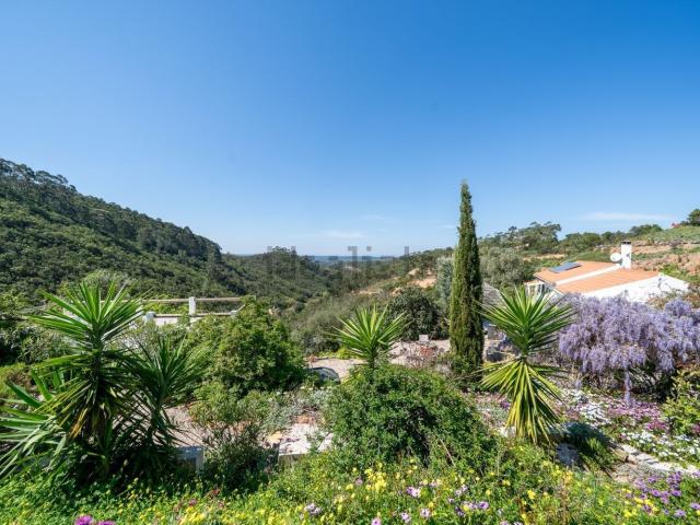 Quinta venda em Aljezur, Faro