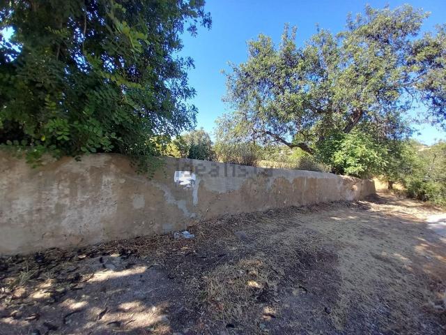 Quinta venda em Vale de Éguas, Loulé