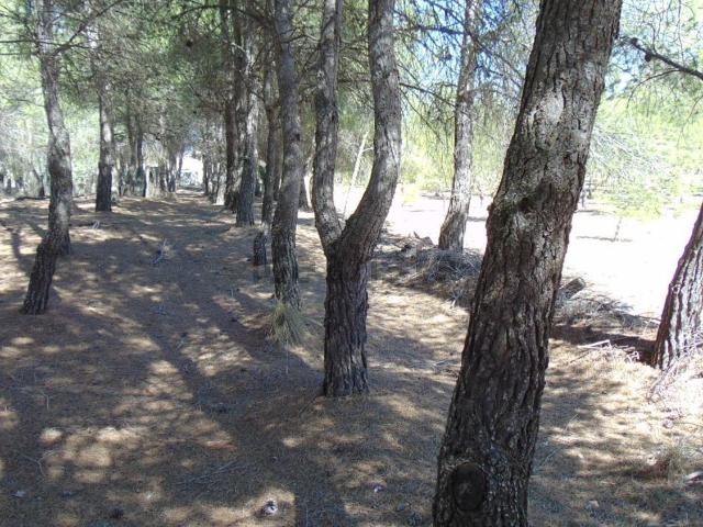 Casa Rural en venta en Almansa