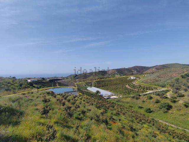 Casa Rural en venta en Almayate Bajo, Vélez-málaga