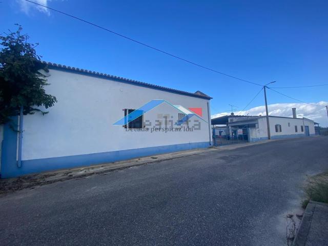 Quinta venda em Almeirim