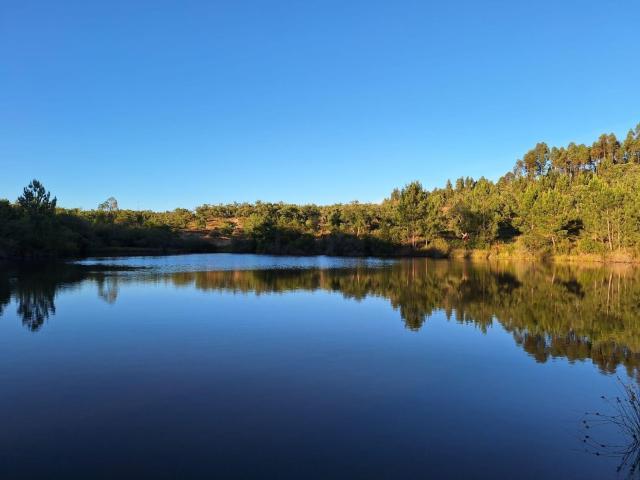 Quinta venda em Almeirim, Santarém