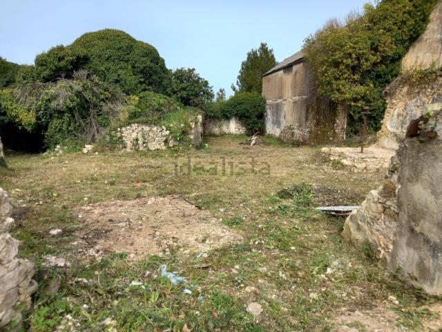 Quinta venda em Alforgemel, Santarém