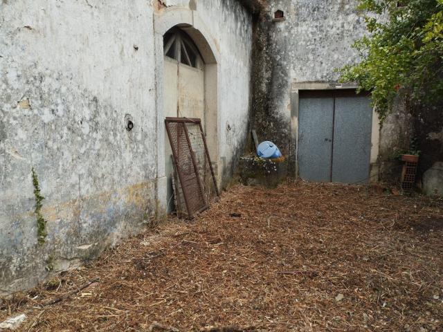 Quinta venda em Santarém