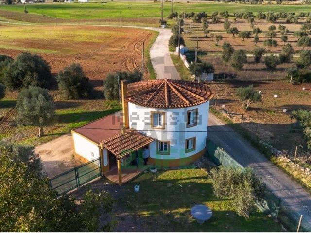Quinta venda em Almoster, Santarém