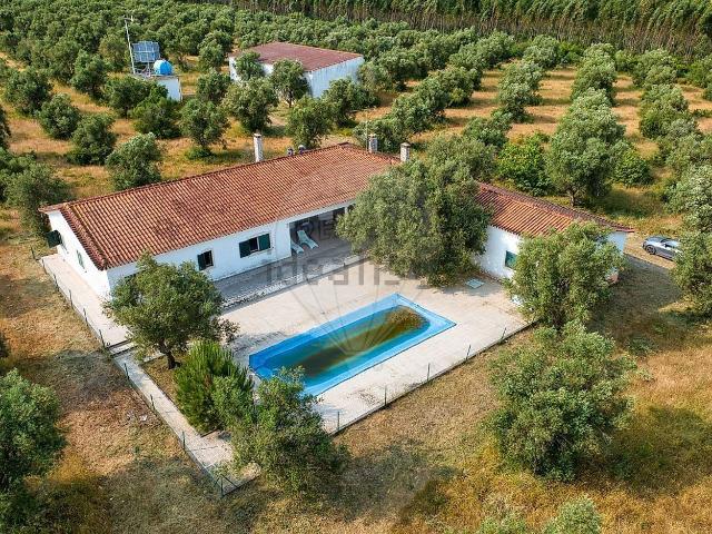 Quinta venda em Vila Nova do Coito, Santarém