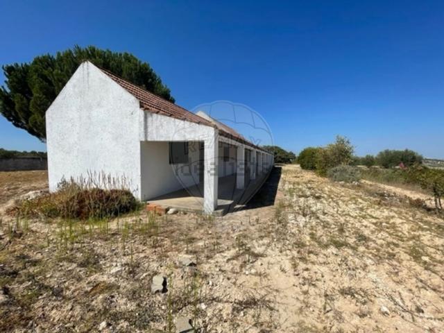 Quinta venda em Casal do Paul, Santarém