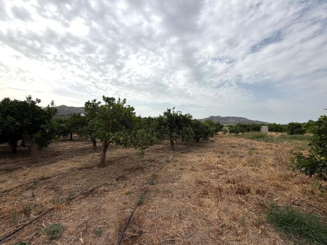 Casa Rural en venta en El Puente, Valle del Guadalhorce