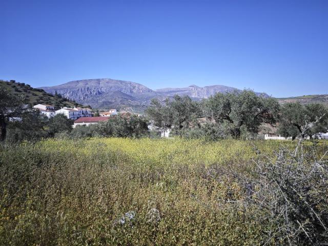 Casa Rural en venta en El Puente, Valle del Guadalhorce