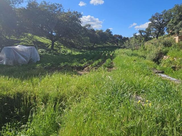 Casa Rural en venta en Alosno, Tharsis