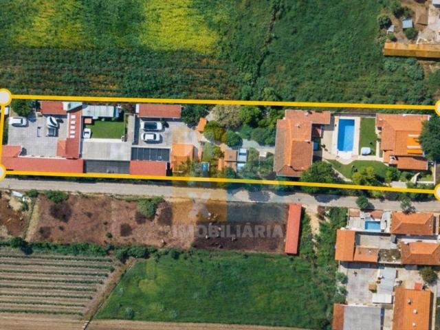 Quinta venda em Frade de Cima, Alpiarça