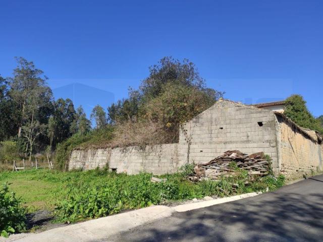 Quinta venda em Albergaria-a-velha, Aveiro