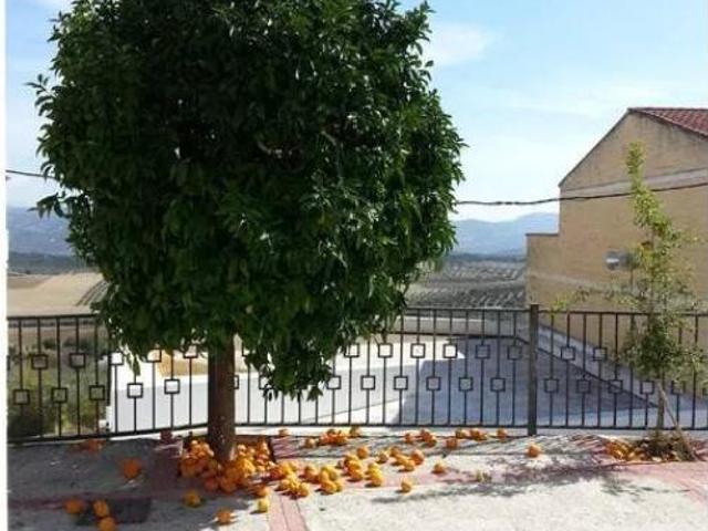 Casa Rural en alquiler en Ventorros de Balerma, Comarca de Loja