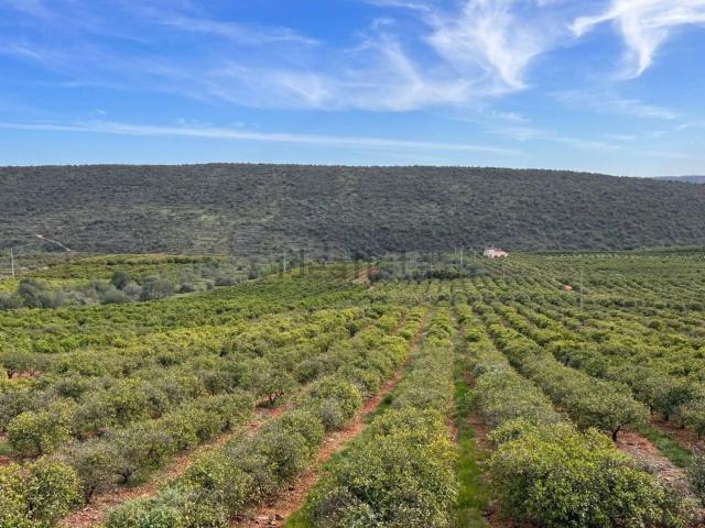 Quinta venda em Alte, Loulé
