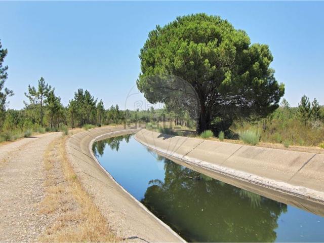Quinta venda em Mimosa, Santiago Do Cacém