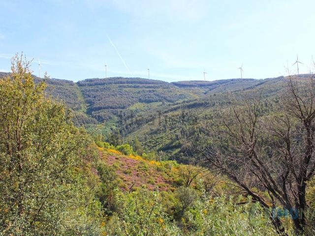 Quinta venda em Castelo Branco, Oleiros