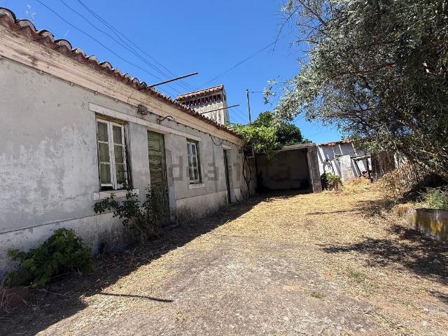 Quinta venda em Abrantes, Santarém