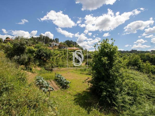 Quinta venda em Porto