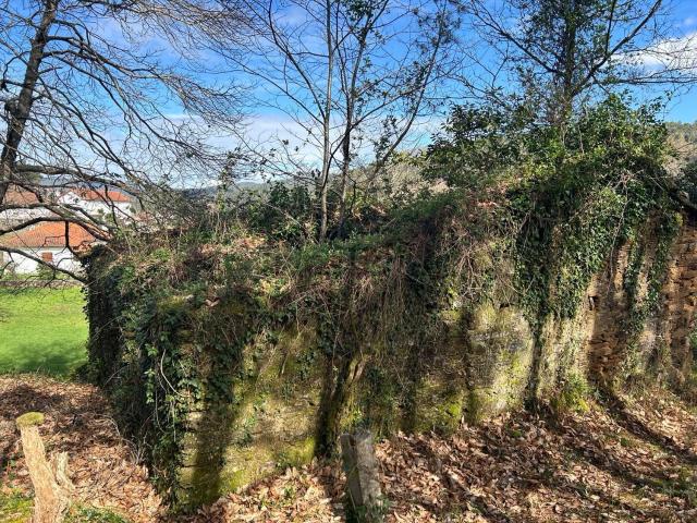 Quinta venda em Amonde, Amonde