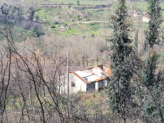 Quinta venda em Baião, Porto
