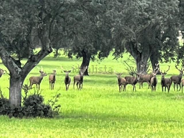 Casa Rural en venta en Anchuras, Castilla-La Mancha
