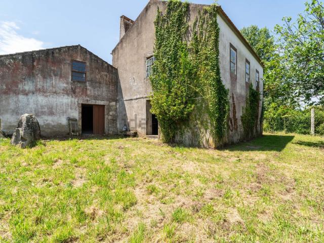 Quinta venda em Âncora, Âncora