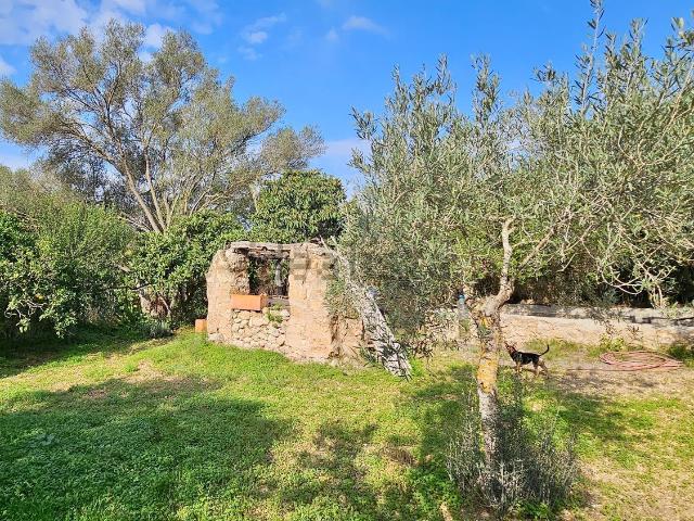 Casa Rural en venta en s'Arracó, Serra de Tramuntana