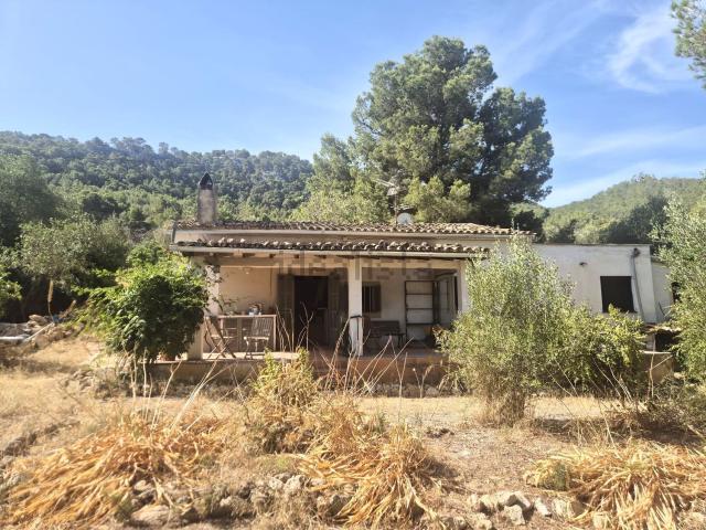 Casa Rural en venta en Port d'Andratx, Serra de Tramuntana