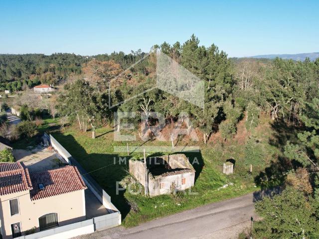 Quinta venda em Ansião, Além da Ponte