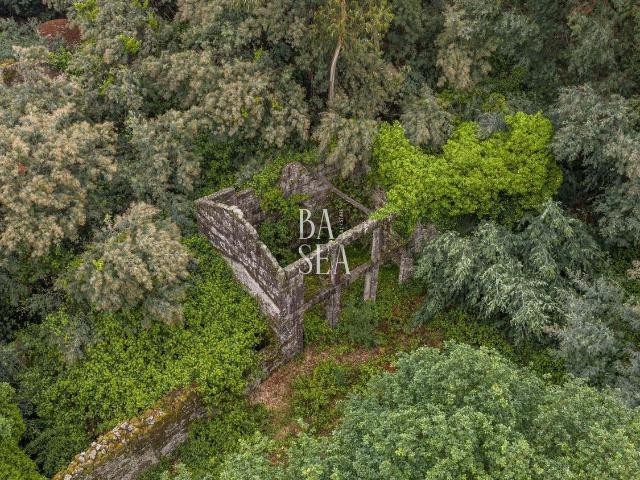 Quinta venda em Fafe, Braga