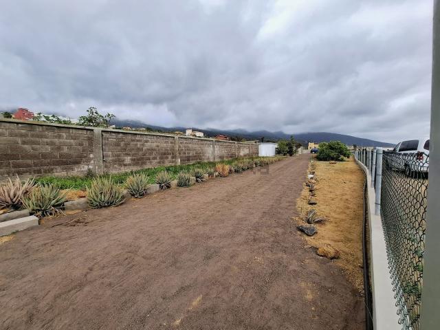 Casa Rural en alquiler en Arafo, Canarias