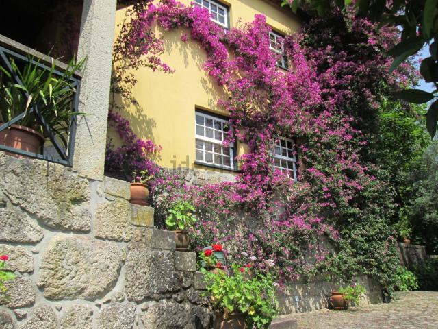 Quinta venda em Viana Do Castelo