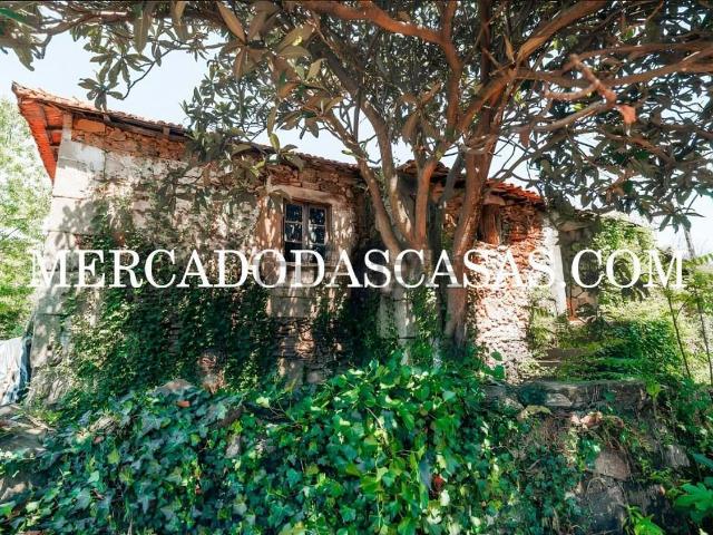 Quinta venda em Cabeceiras De Basto, Braga