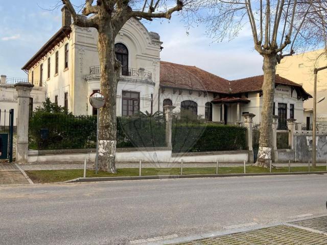 Quinta venda em Anadia, Aveiro