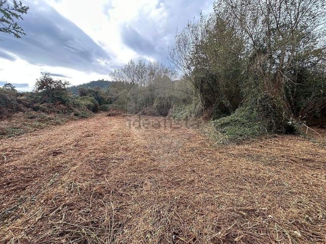 Quinta venda em Arcozelo, Viana Do Castelo