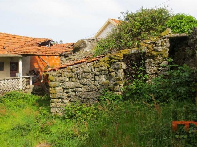 Quinta venda em Oliveira De Frades, Viseu