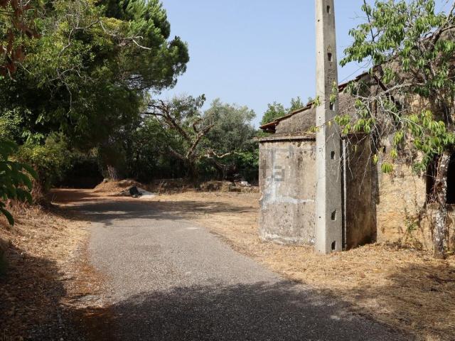 Quinta venda em Rego Da Murta, Santarém