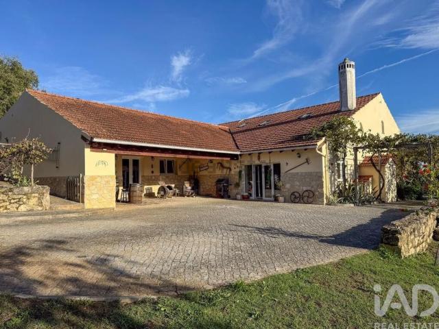 Quinta venda em Rego Da Murta, Santarém