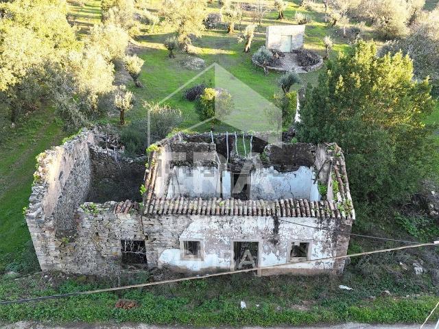 Quinta venda em Avecasta, Rego Da Murta