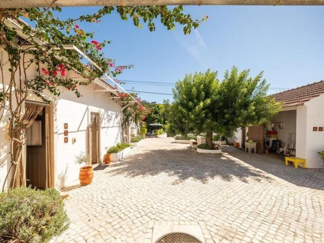 Quinta venda em Areias e Pias, Ferreira do Zêzere