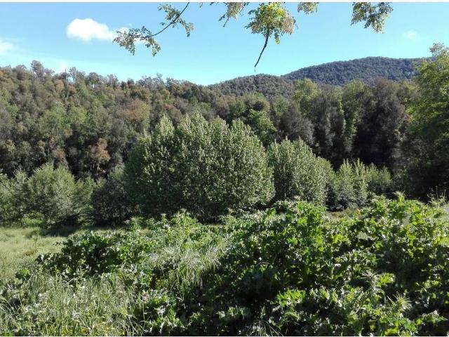 Casa Rural en venta en Maresme, Catalunya