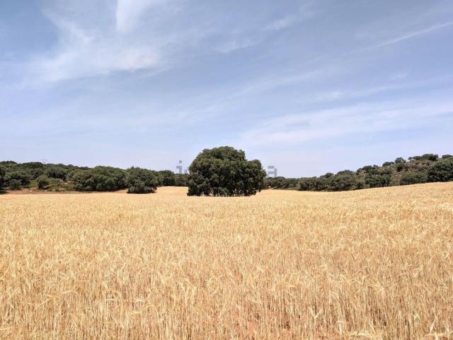 Casa Rural en venta en Argamasilla De Alba, Castilla-La Mancha