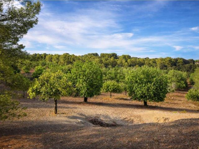 Casa Rural en venta en Llevant, Baleares